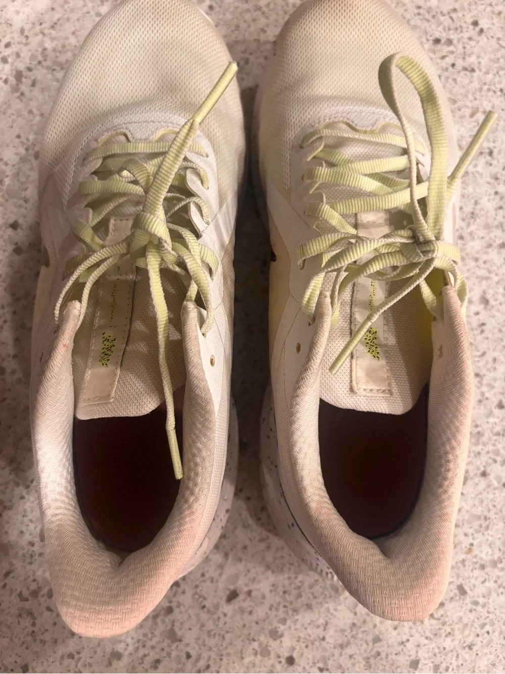 Nike Downshifter Running shoes